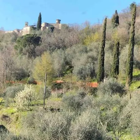 Holiday home Podere Bassi *