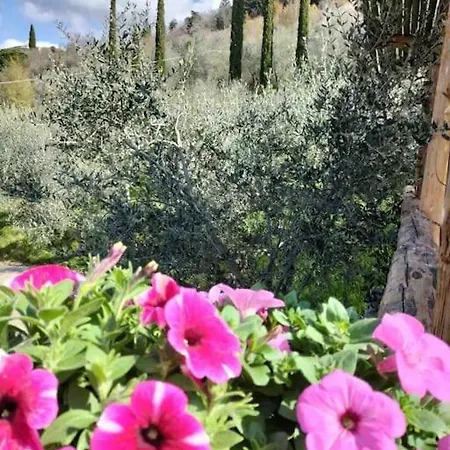 Holiday home Podere Bassi Licciana Nardi